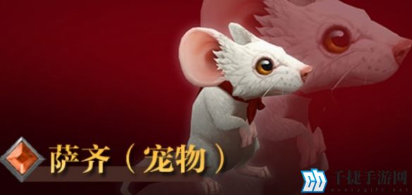 魔兽世界萨齐宠物详细获取方式