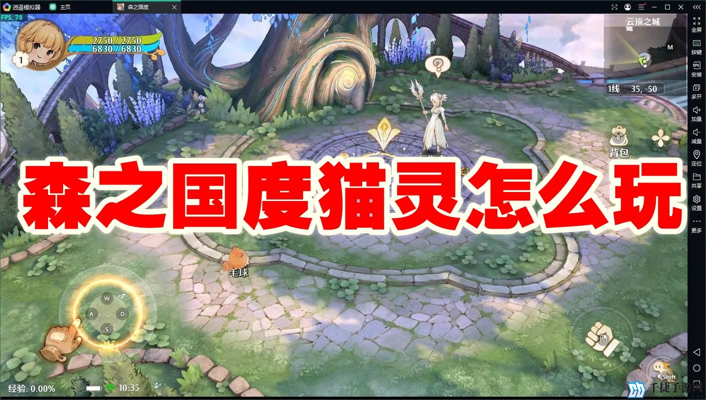森之国度猫灵怎么玩